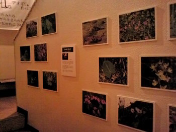 20100131222236.jpg